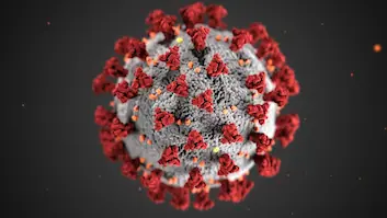 A 3D microscopic visualization of a COVID-19 virus cell
